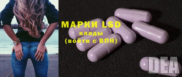 mdpv Богородицк