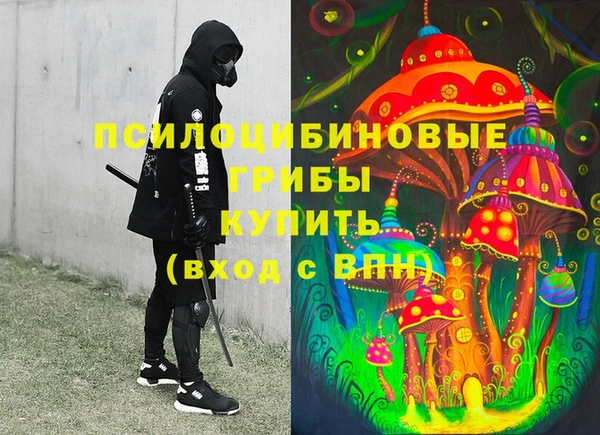 mdpv Богородицк