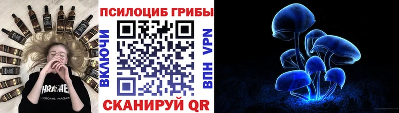 Псилоцибиновые грибы мицелий  Коркино 